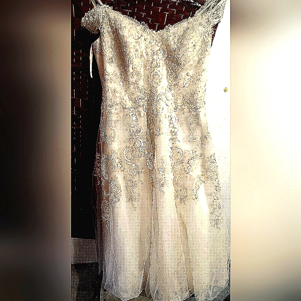 David's Bridal 22w wedding dress